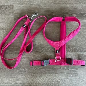 Hurtta dog harness and leash